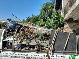 Best Residential Junk Removal  in Dekal, IL